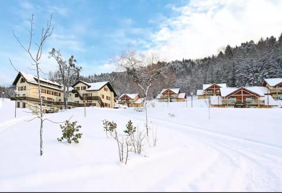 Duplex-Chalet Entre Lac Et Montagne Avec Balcon Lugrin Buitenkant foto